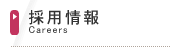 採用情報