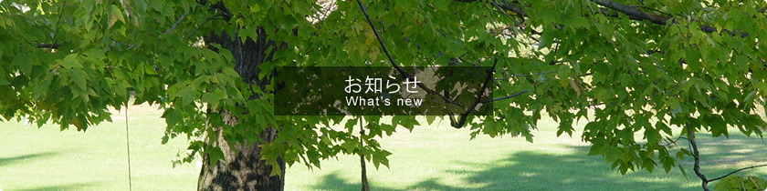 お知らせ